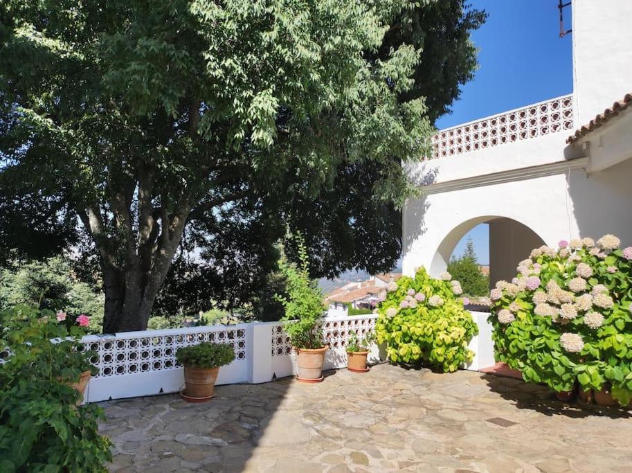 그라잘레마 Casa Pomar - Preciosa Casa Con Piscina Y Vistas A La Sierra 빌라 외부 사진