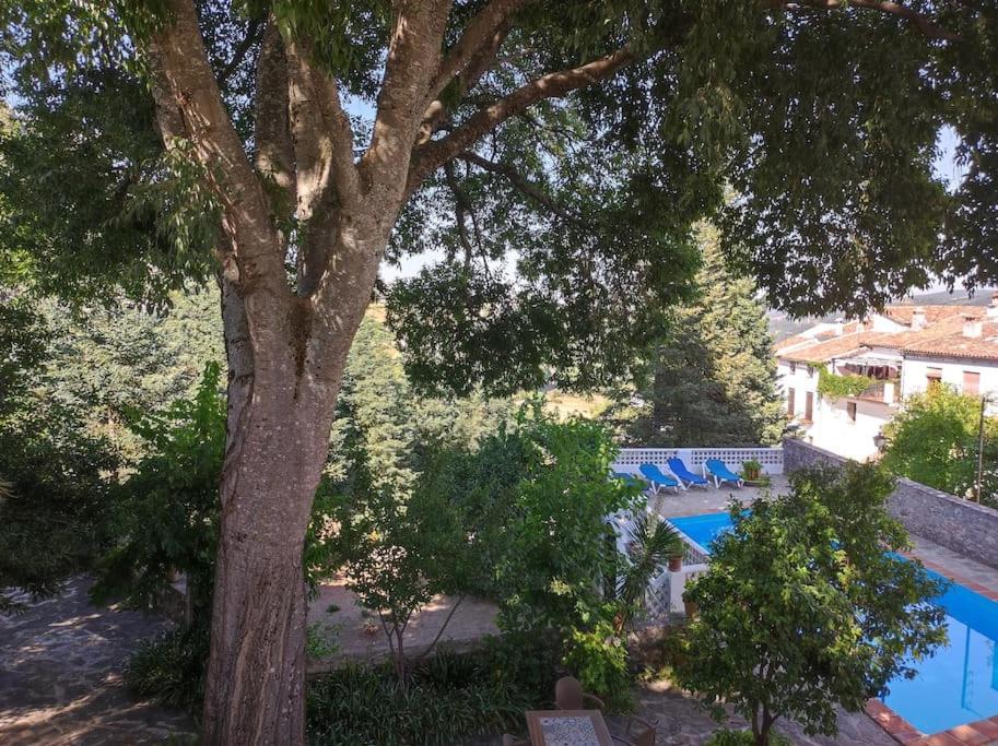 그라잘레마 Casa Pomar - Preciosa Casa Con Piscina Y Vistas A La Sierra 빌라 외부 사진